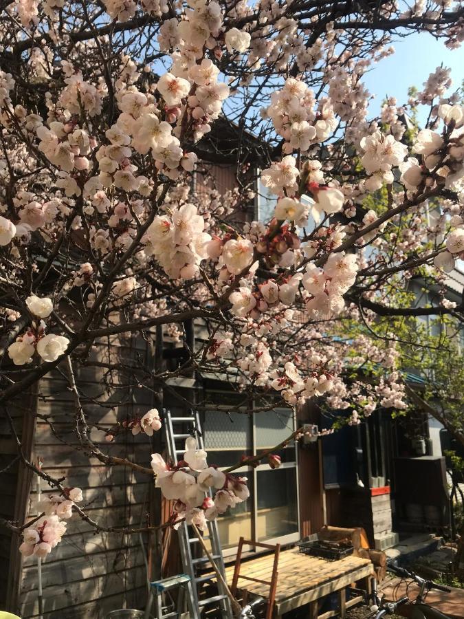 Shabby House Hotel Sapporo Ngoại thất bức ảnh